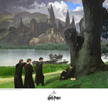 Harry Potter Artwork Harry Potter Artwork Taunting Snape